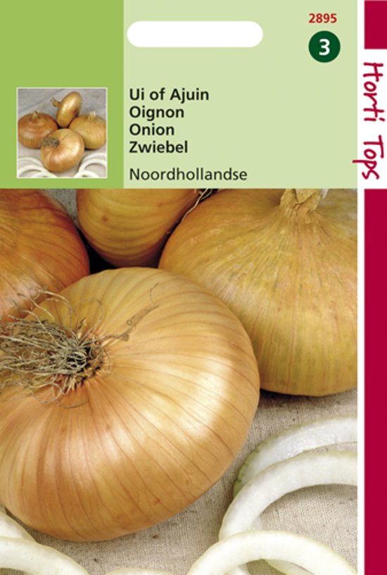 Onion Yellow Flat Dutch (Allium cepa) 1200 seeds